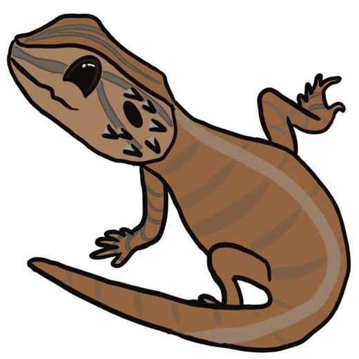 Drawing a Cute Bearded Dragon! #art #digitalart #shorts