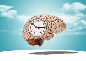 Scientists Think They’ve Found a Way to Slow Your Brain’s Aging