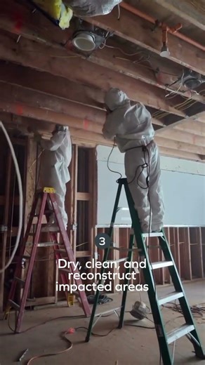 Multi-unit Mold Remediation | SERVPRO