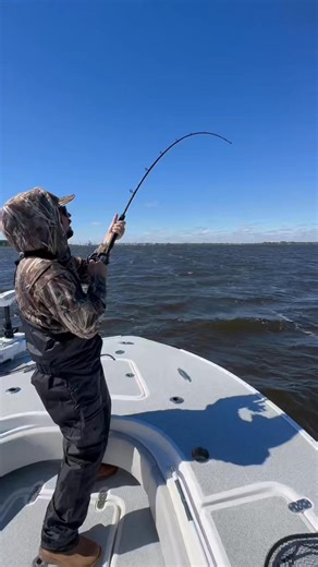 13K views · 108 reactions | 43 inch Bull Redfish on a live Croaker. Jacksonville, FL annual Bull Redfish Migration! | Jacksonville Fishing Charters - Team Buck Rogers Charters | Facebook