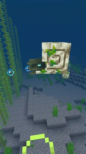 ​Minecraft's NEW 1.21.30 Infinite Air Secret! #shorts