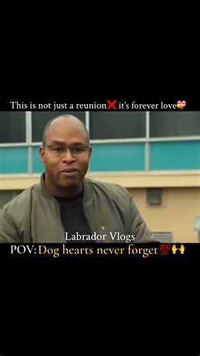 The heart-melting moment when a dog reunites with their owner after a long time 🐾❤️. #dogs #human #unconditional #bonding #unconditionallove #dog #reunion #reunited #purelove #truelove #hearttouching #heartmelting #moments #reelsvideoシ #reelsfbシ #viralvideoシ | Labrador Vlogs