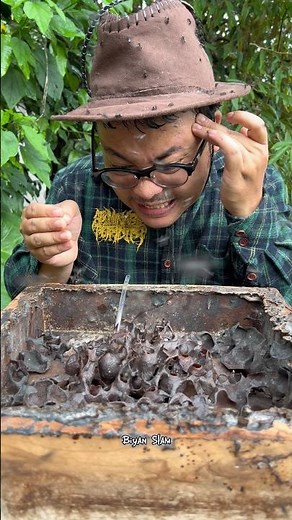 ASMR Drinking Rare Stingless Bee Honey Fresh From The Hive - 25 🍯#shorts