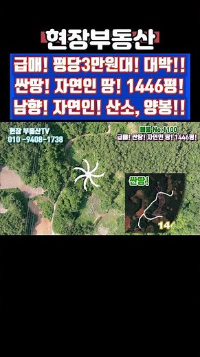 싼땅 급매 평당3만원대 과수원부지 자연인 땅 1446평 #급매 #부동산 #자연인 #싼땅 #과수원 #가대리