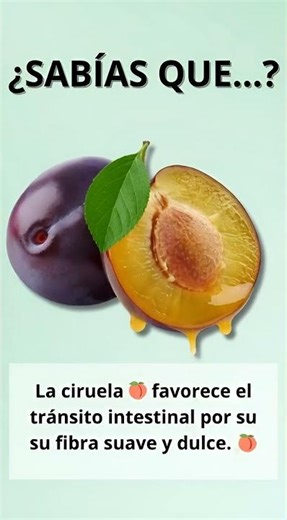 🍑 ¡Dile Adiós al Malestar Digestivo! La Receta Natural de Ciruela que Te Ayudará a Mantener tu Trán
