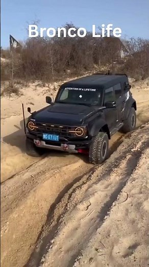 Bronco Having a day at the playground
