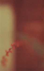 David Cordero and Pepo Galán - As A Silent Tongue Shadow