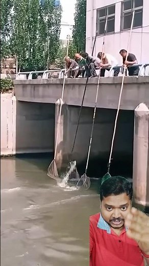 Fishing's Biggest Debate Net vs Line Which is Better