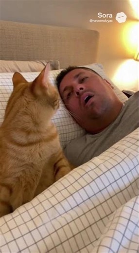 Man Snores TOO Loud… So His Cat SLAPS Him Awake 😂🐱💥 | Funniest Pet Video!