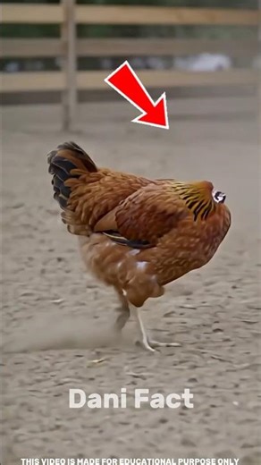 😱3 Animals That Live WITHOUT a Head! #tamilfact #shorts