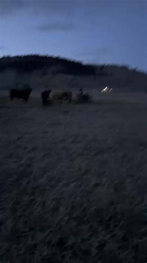 Pamela Smith on Instagram: "Preppers Live from our homestead in Montana #preppers #blackfarmers #blackhomesteaders"