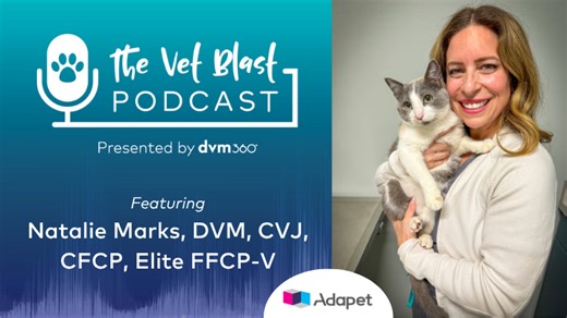 Managing, treating, and monitoring canine diabetes | dvm360