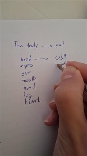 7 words to learn about body parts #arabic #speakarabic #how #what