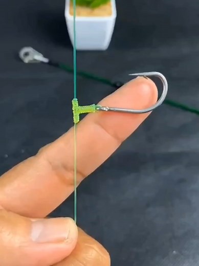 Fishing Fans trên TikTok