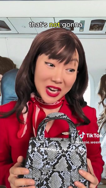 True Story of Plane Turbulence and Therapy Funding