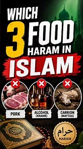 Which 3 food haram in islam 🤔 #shortsfeed #islamicvideo