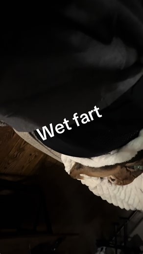 Humorous Dog Farts: A Comical Compilation