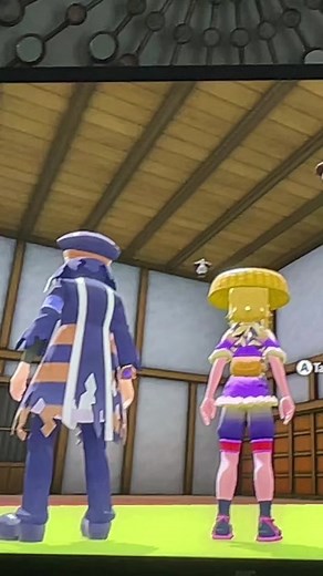 Pokemon Black and White Glitch Compilation