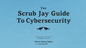 Bank of America TV Spot, 'VICELAND: Better Money Habits: Scrub Jay'