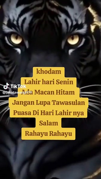 PANGLIMA MA'UNG 979 (@jakatawang979)’s videos with suara asli - PANGLIMA MA'UNG 979