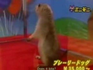 Dramatic Look - Kill Bill Remix