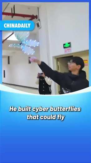 Creating Cyber Butterflies: Art and Science Combined