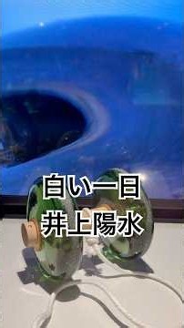 「白い一日」井上陽水