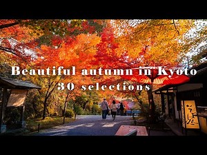 【 Japan trip 4K 60p】京都の紅葉 30選 (Autumn colours in Kyoto 30 selections)