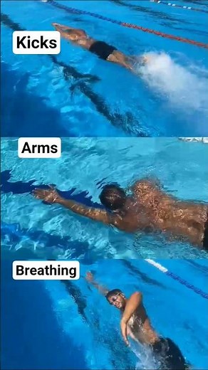 Front Crawl Swimming Technique Kicks, Arms & Breathing Explained