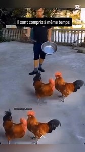 Mwen kite sa la 🤣😂🤣🤣 #reels #viral | Isaac Bernard