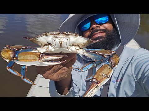 Grilled Blue Crabs**Catch Clean & Cook***Florida Blue Crabs