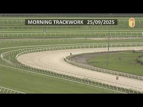 Track Work - Cam 1 (25/09/2025)