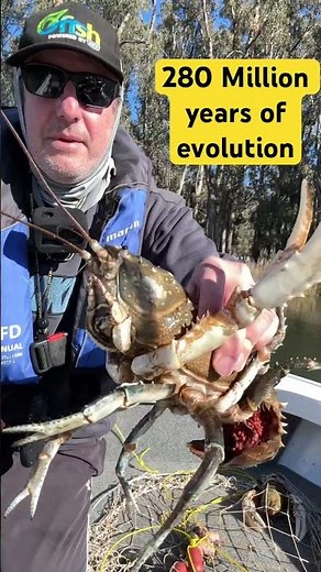 Crayfish 280 Million Years of Evolution