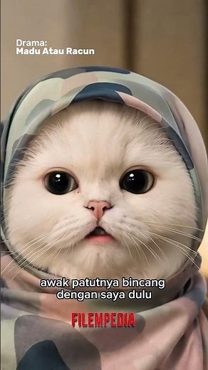 Madu atau racun❌ Kibble atau racun✅#maduatauracun