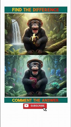 Spot The Difference