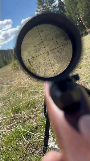 Gopher hunting #subscribe #reels #shortvideo #shorts