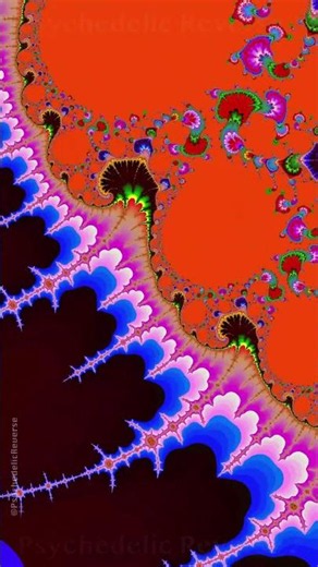 #trippyart #mandelbrot #Expanding Worlds of Fractal Harmony: Trippy Visuals @PsychedelicReverse​
