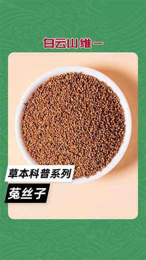 15-草本科普系列丨菟丝子 #植物科普 #草本科普 #草本 #草药 #植物 #中医 #中药 #中药材 #养生 #中医养生 #菟丝子