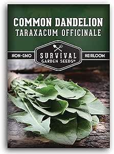 Common Dandelion Seeds for Planting - Plant & Grow Nutritious Dandelion Greens in Your Home Herb or Vegetable Garden - Non-GMO Heirloom - Survival Garden Seeds (1 Pack)
