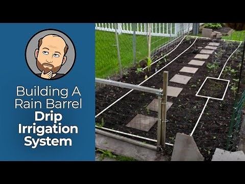 Low-Cost Gravity Irrigation System From A Rain Barrel | Ever-Curious Geek