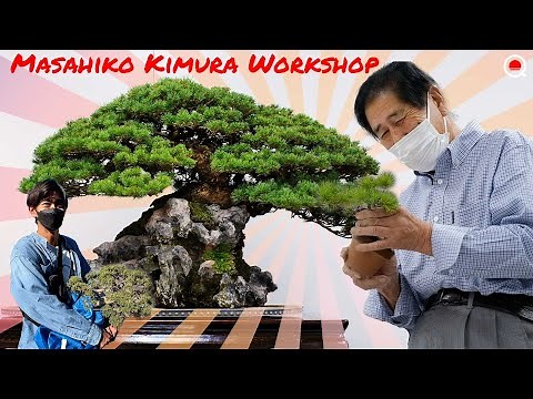 Learn from the bonsai god Masahiko Kimura [Bonsai Q]