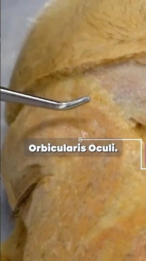 Cuántas veces PARPADEAS? #anatomia #ciencia #increible #saber #aprender #ojos #parpadear
