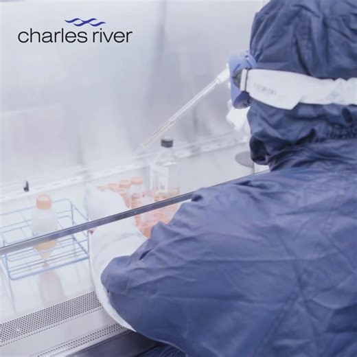 #cgmesa25 #cellandgenetherapy #cdmo #charlesriver #concepttocure | Charles River Laboratories
