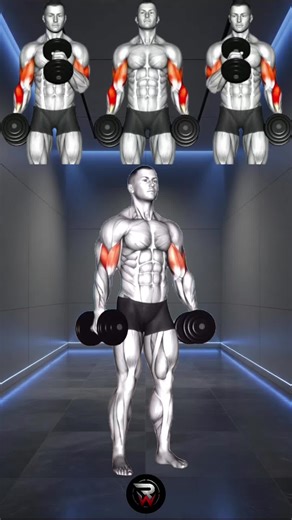 Bulging Biceps at Home! Dumbbells Workout #biceps #dumbell #workout #gym
