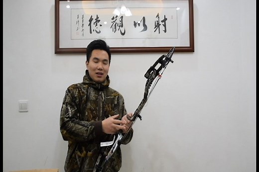 PSE 疯狂开动复合弓简单介绍 3380价格香不