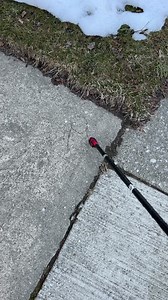 120K views · 10K reactions | The emergence of Alice after the storm | David Zinn | Facebook