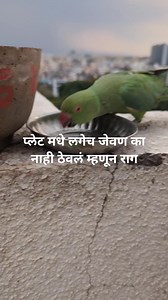 Neeta Kumbhar on Reels