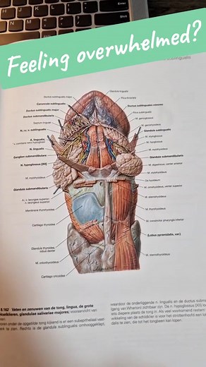 When feeling a bit overwhelmed, just try to calm down and keep trying. Stress only makes matters worse #dentistsandstudents #dentist #dentalstudent #dentistryworld #dental #studentlife #dentistry #dentallife #dentistsoftiktok #futuredentist #studying