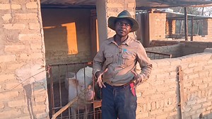 6.3K views · 65 reactions | 퐖퐡퐲 퐓퐢퐥퐚퐩퐢퐚? 퐓퐢퐥퐚퐩퐢퐚 - 퐭퐡퐞 퐩퐞퐨퐩퐥퐞’퐬...