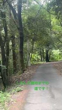交野市山歩き、河内森駅、河内磐船駅からくろんど園地までの山道はこうなっています、駅から1時間くらいだと思います！ #くろんど園地 #くろんど園地バーベキュー #くろんど園地山歩き #交野市山歩き